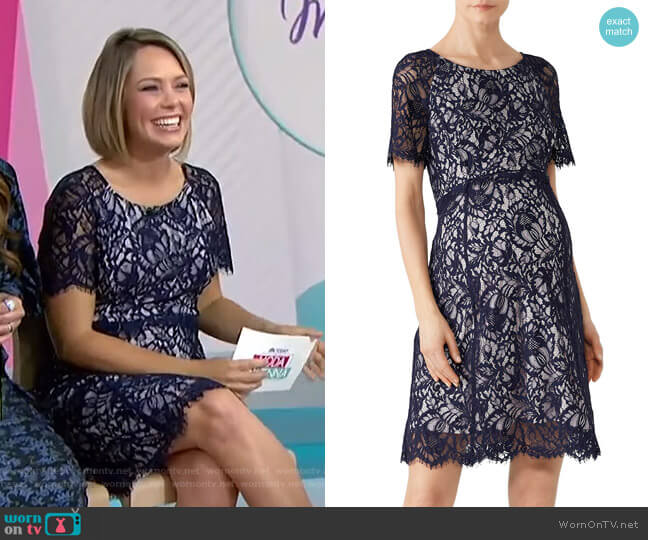 Seraphine Kenzie Maternity Dress worn by Dylan Dreyer on Today