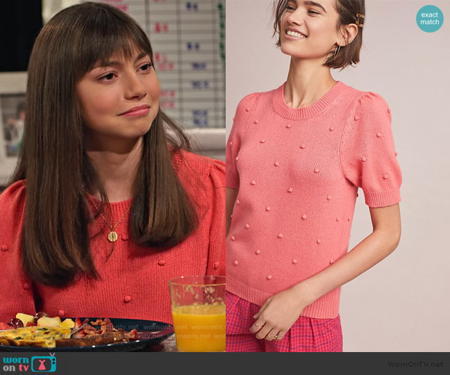 Anthropologie Pommed Sweater Top