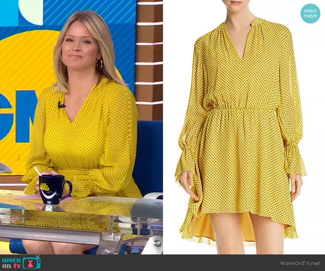 Joie Daevon Dress worn by Sara Haines on Good Morning America