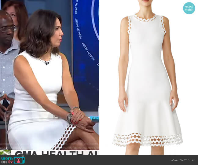 Milly Diamond Cut Dress worn by Cecilia Vega on Good Morning America