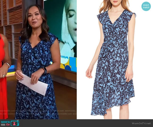 Parker Brynlee Dress worn by Eva Pilgrim on Good Morning America