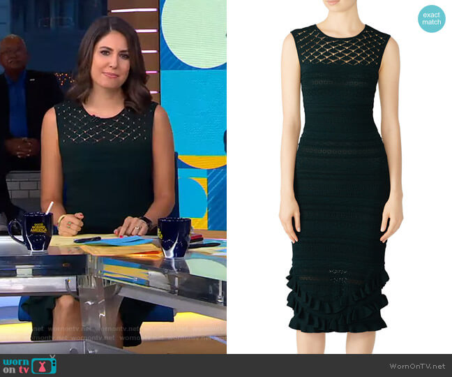 Sachin & Babi Skye Dress worn by Cecilia Vega on Good Morning America