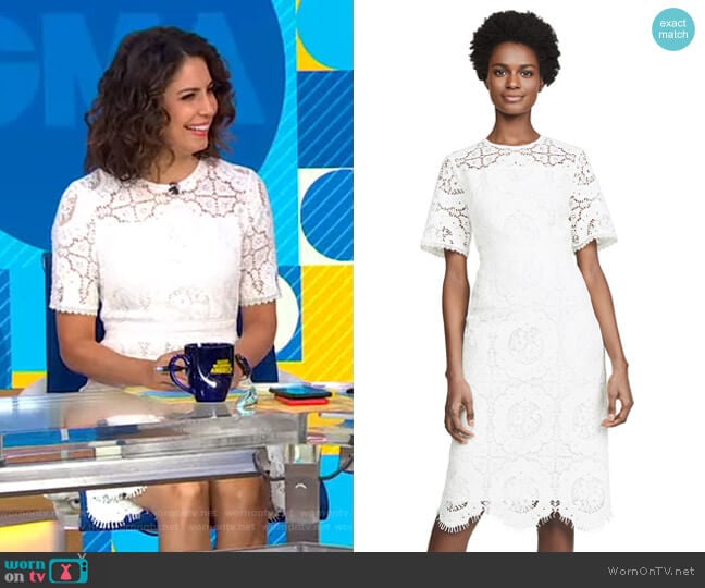Shoshanna Marmande Dress worn by Cecilia Vega on Good Morning America