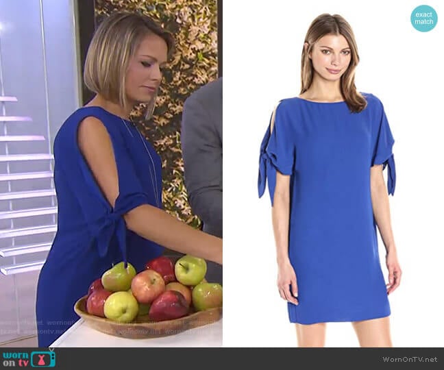 Vince Camuto Solid Crepe Shift Dress worn by Dylan Dreyer on Today