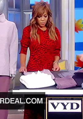 Sunny’s red leopard dress on The View