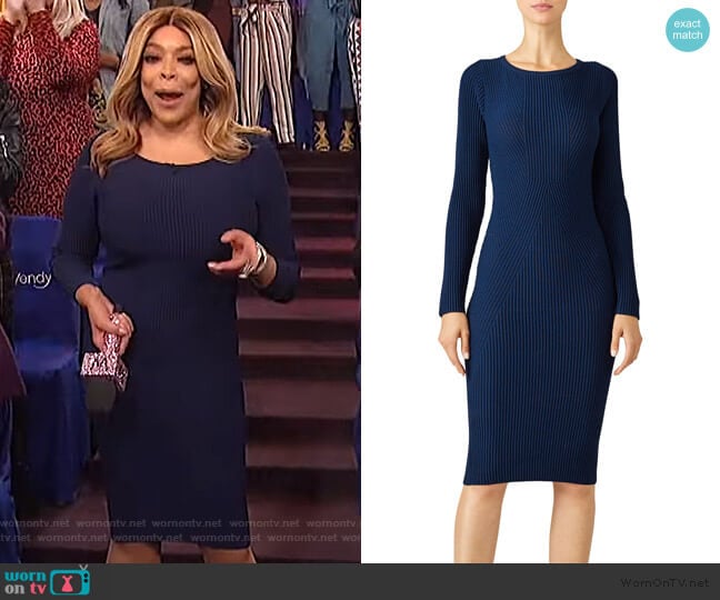 Nicole Miller January Knit Dress worn by Wendy Williams on The Wendy Williams Show