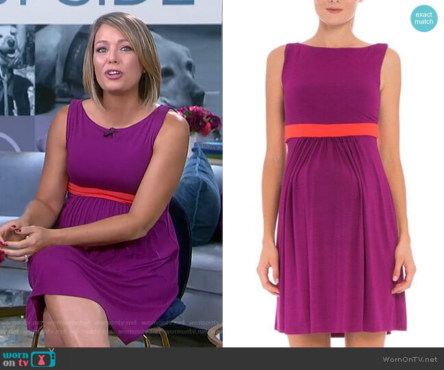 Olian Contrast Banding Maternity Dress worn by Dylan Dreyer on Today