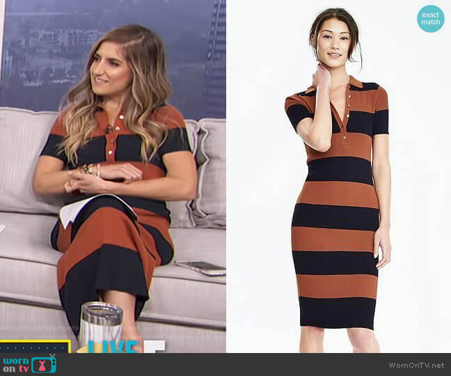 Banana Republic Ribbed Polo Sweater Dress