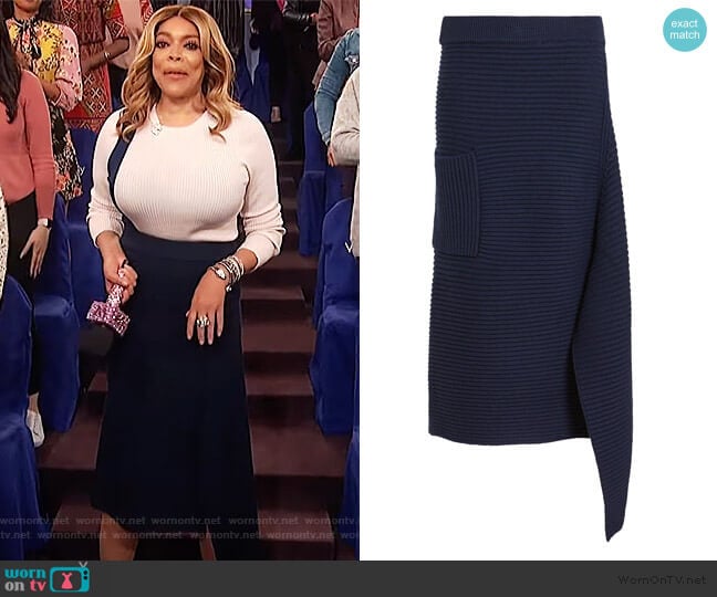 Tibi Asymmetric Origami Skirt worn by Wendy Williams on The Wendy Williams Show