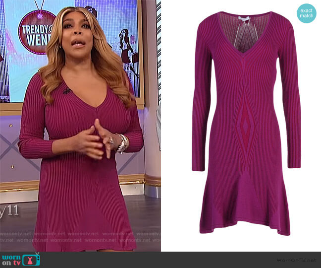 Versace Short Dress worn by Wendy Williams on The Wendy Williams Show