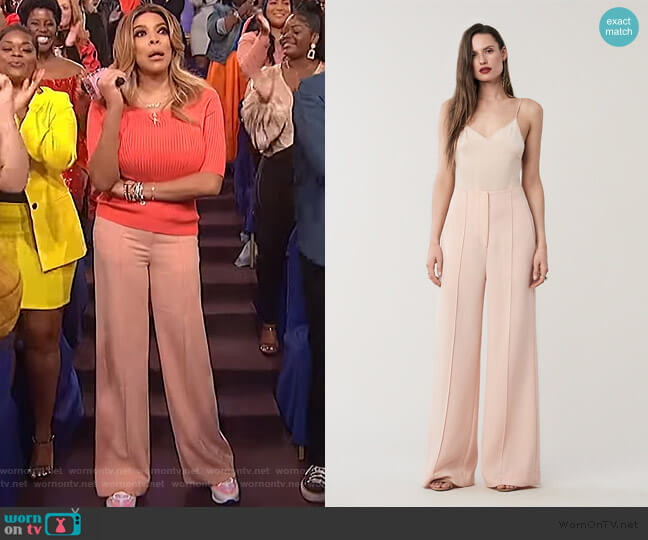 Diane von Furstenberg Kiersten High Waisted Wide-Leg Pants worn by Wendy Williams on The Wendy Williams Show