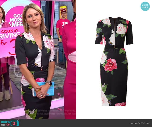 Ted Baker Gilanno Dress worn by Amy Robach on Good Morning America