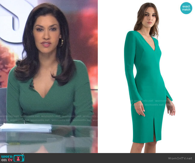 Black Halo Sambora Sheath worn by Alison Namazi (Janina Gavankar) on The Morning Show