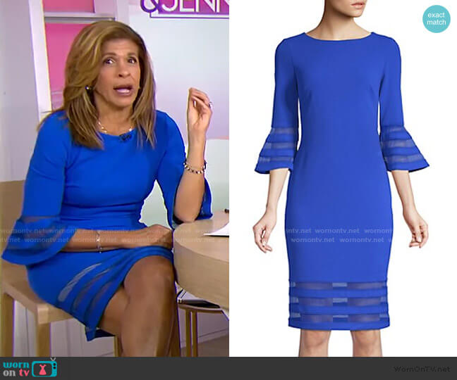 Calvin Klein Bell-Sleeve Striped Mesh Dress worn by Hoda Kotb on Today
