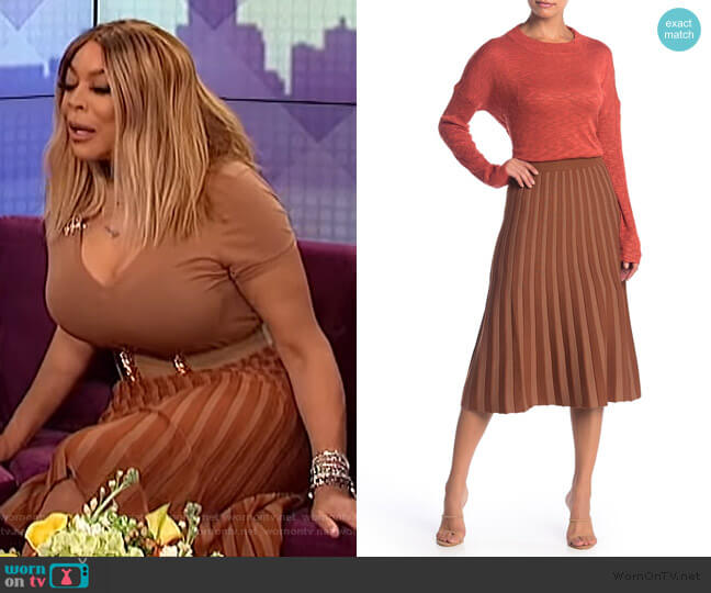 Lush Pleated Midi Skirt worn by Wendy Williams on The Wendy Williams Show