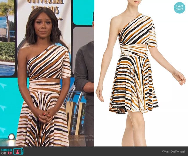 Ronny Kobo Karida One-Shoulder Striped Dress worn by Zuri Hall on Access Hollywood