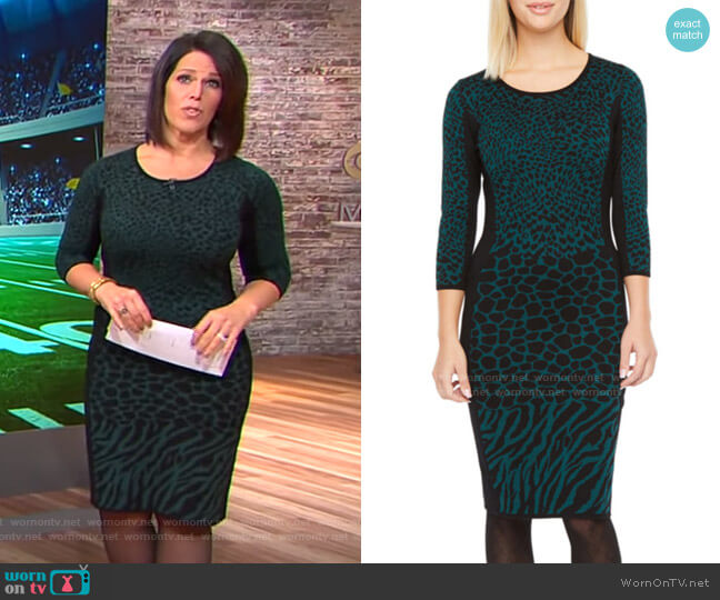 Danny & Nicole 3/4 Sleeve Animal Print Sweater Dress worn by Dana Jacobson on CBS Mornings