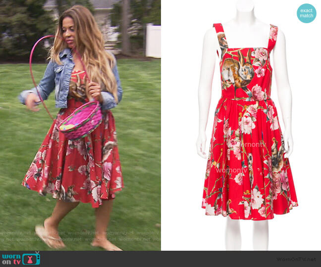 Dolce & Gabbana Animal Print Dress in Red worn by Dolores Catania on The Real Housewives of New Jersey