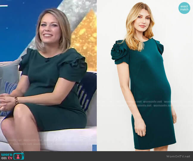 Pietro Brunelli Salisburgo Maternity Dress worn by Dylan Dreyer on Today