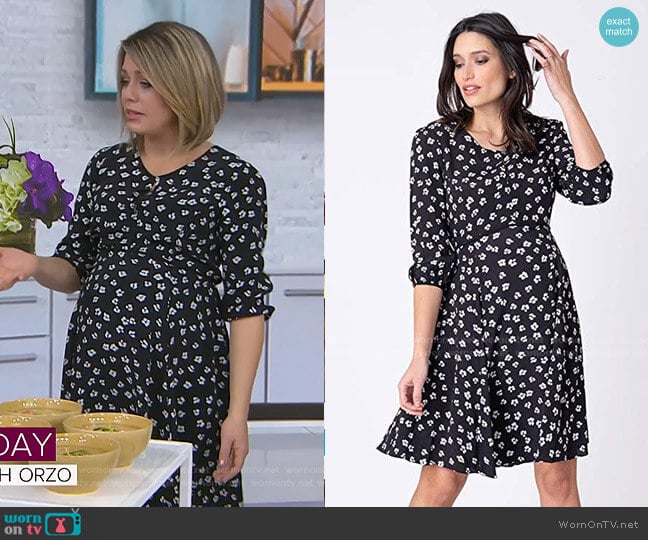 Seraphine Casual A Line Keyhole Nursing Dress worn by Dylan Dreyer on Today