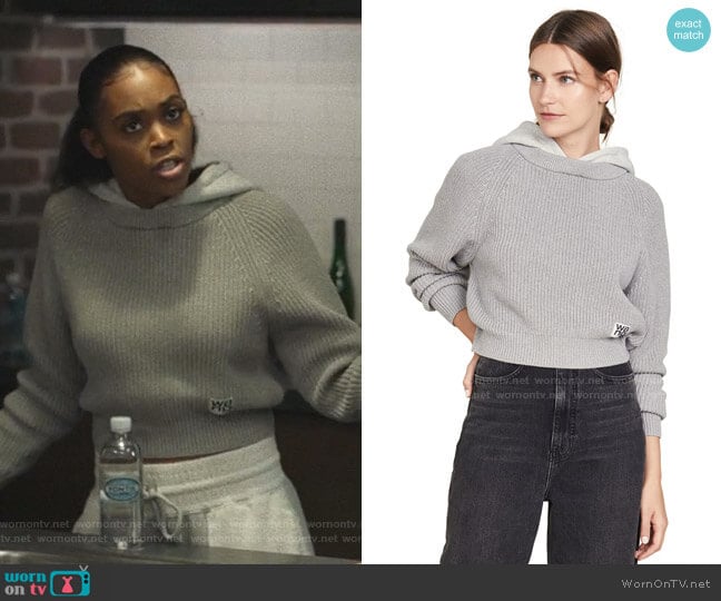 alexanderwang.t Utility Hoodie Sweater worn by Anissa Pierce (Nafessa Williams) on Black Lightning