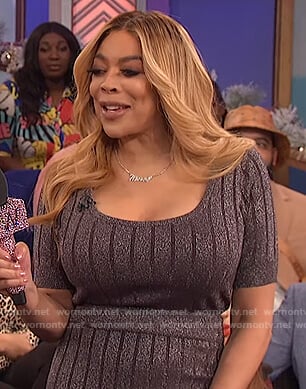 Wendy’s gray metallic top and skirt on The Wendy Williams Show