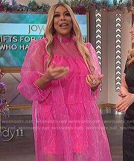 Wendy’s pink tulle dress on The Wendy Williams Show