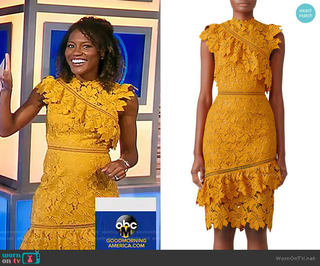Saylor Reine Sheath Dress worn by Janai Norman on Good Morning America