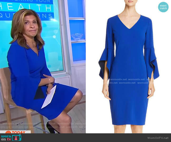 Badgley Mischka Contrast Bell Sleeve Dress worn by Hoda Kotb on Today