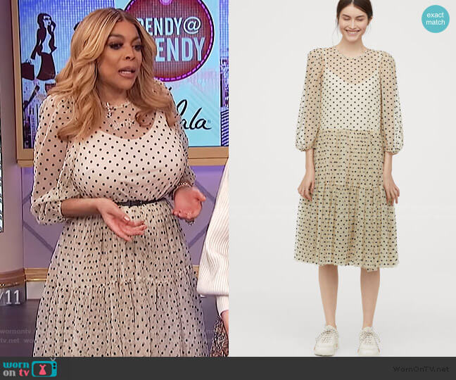 H&M Flock-print Mesh Dress worn by Wendy Williams on The Wendy Williams Show