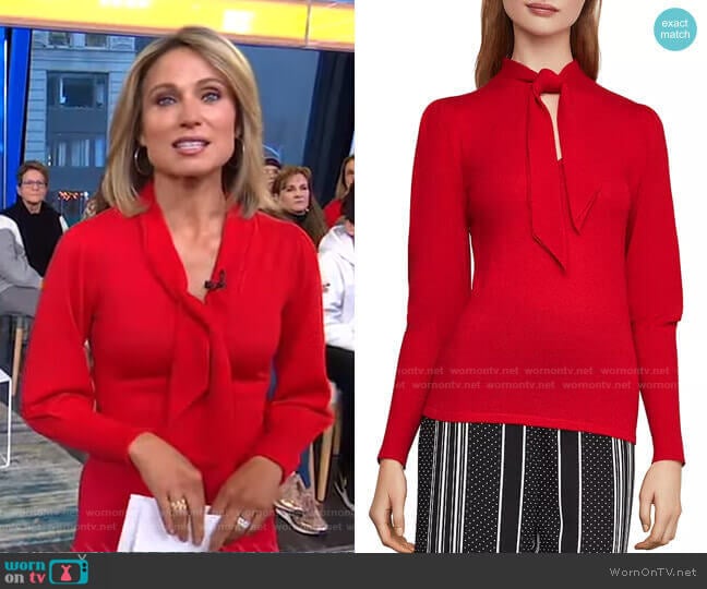 BCBGMAXAZRIA Juliette Sleeve Sweater worn by Amy Robach on Good Morning America
