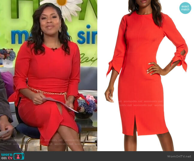 Harper Rose Tie Sleeve Sheath Dress worn by Sheinelle Jones on Today