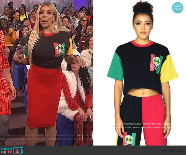 Cross Colours Flag Logo Color Block Crop T-Shirt worn by Wendy Williams on The Wendy Williams Show