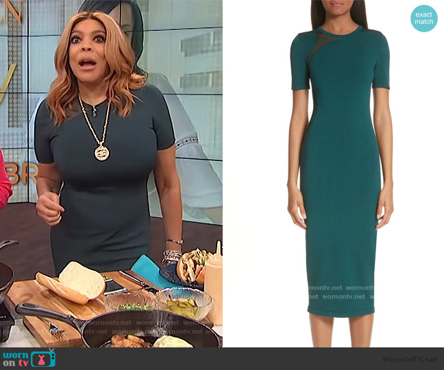 Cushnie et Ochs Sheer Panel Inset Knit Dress worn by Wendy Williams on The Wendy Williams Show