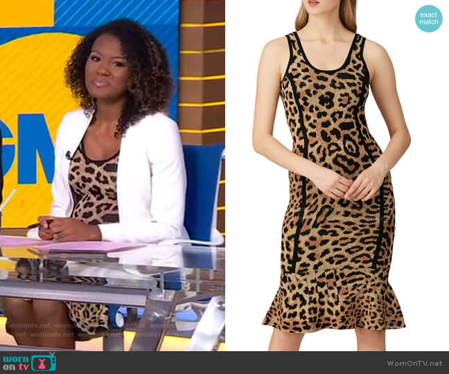Great Jones Leopard Knit Sheath Dress worn by Janai Norman on Good Morning America