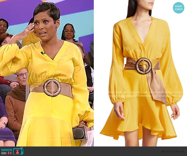 Silvia Tcherassi Filis Belted Mini Dress worn by Tamron Hall on Tamron Hall Show