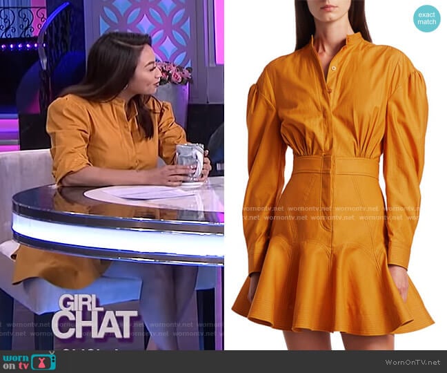 Acler Lewis Puff-Sleeve A-Line Shirtdress worn by Jeannie Mai on The Real