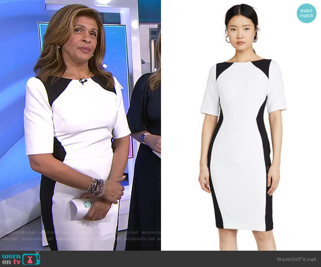 Black Halo Wolfe Colorblock Sheath Dress worn by Hoda Kotb on Today