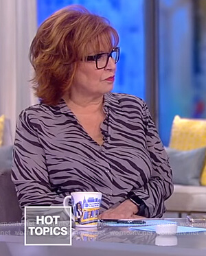 Joy’s gray zebra print blouse on The View