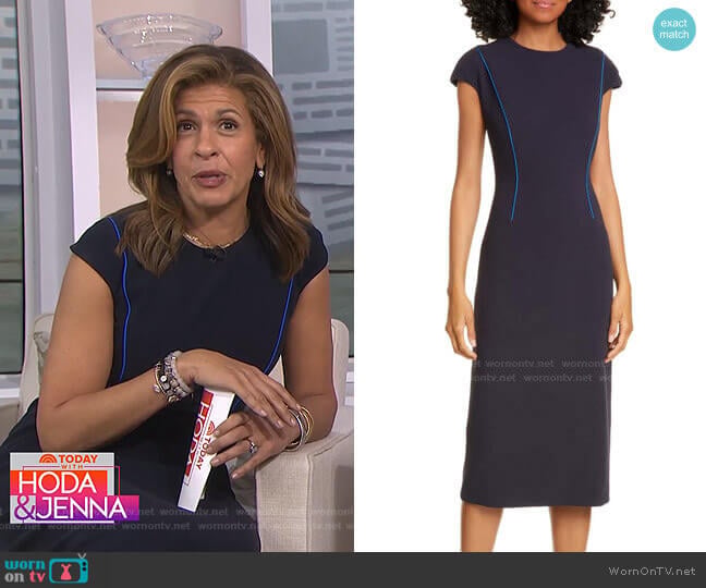 Judith & Charles Alta Sheath Dress worn by Hoda Kotb on Today