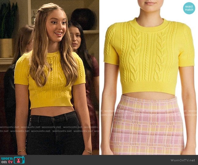 Ronny Kobo Yordana Knit Cropped Top worn by Brooke Bishop (Bella Podaras) on The Expanding Universe of Ashley Garcia