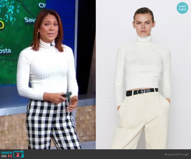 Zara Ribbed Turtleneck Sweater worn by Ginger Zee on Good Morning America