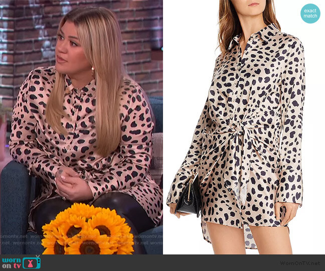 Aqua Tie-Front Cheetah Print Dress worn by Kelly Clarkson on The Kelly Clarkson Show