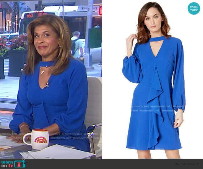 Adrianna Papell Fancy Crepe Ruffle Dress worn by Hoda Kotb on Today