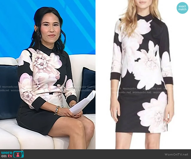 Ted Baker Kida Dress worn by Vicky Nguyen on Today