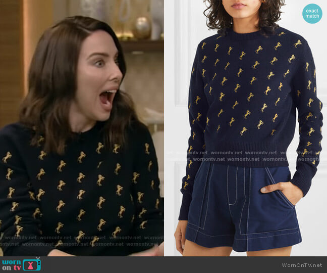 Chloe Embroidered Sweater