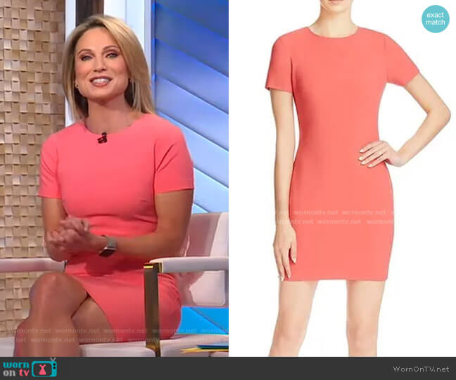 Likely Manhattan Dress worn by Amy Robach on Good Morning America