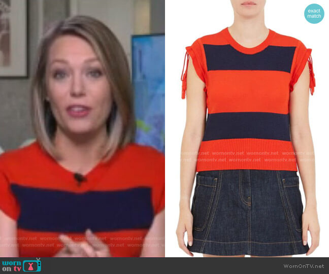 Carven Rugby Stripe Tee worn by Dylan Dreyer on Today