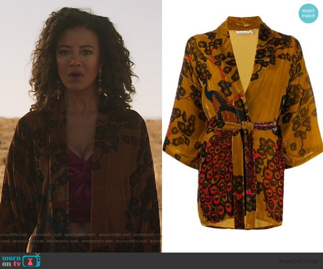 Mes Demoiselles Velvet Floral Cardigan worn by Maria DeLuca (Heather Hemmens) on Roswell New Mexico