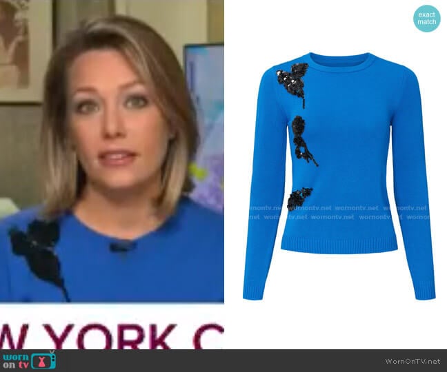Prabal Gurung Collective Cerulean Applique Sweater worn by Dylan Dreyer on Today